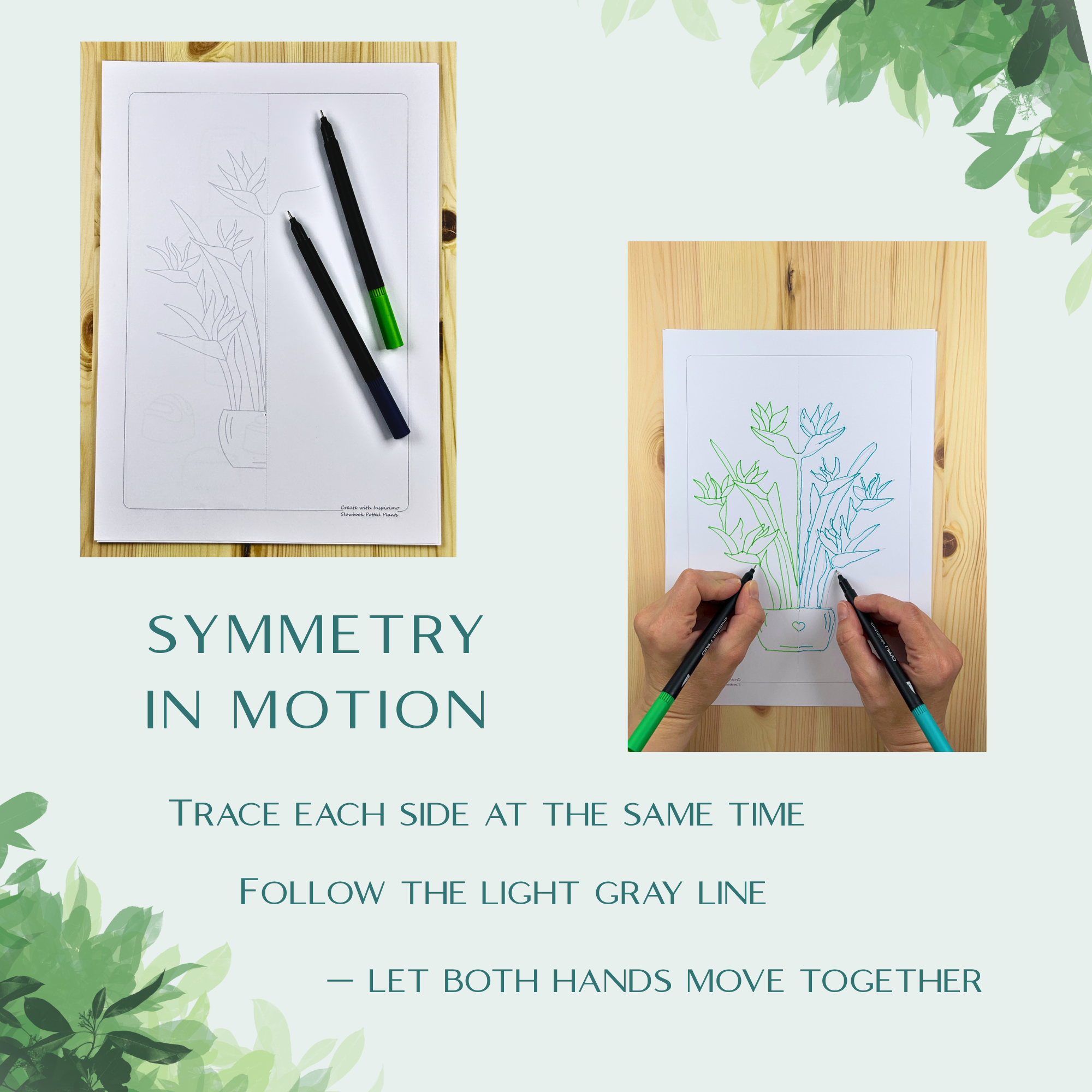 Potted Plants Slowbook β Draw & Colour with Both Hands (Digital Download) - Image 3