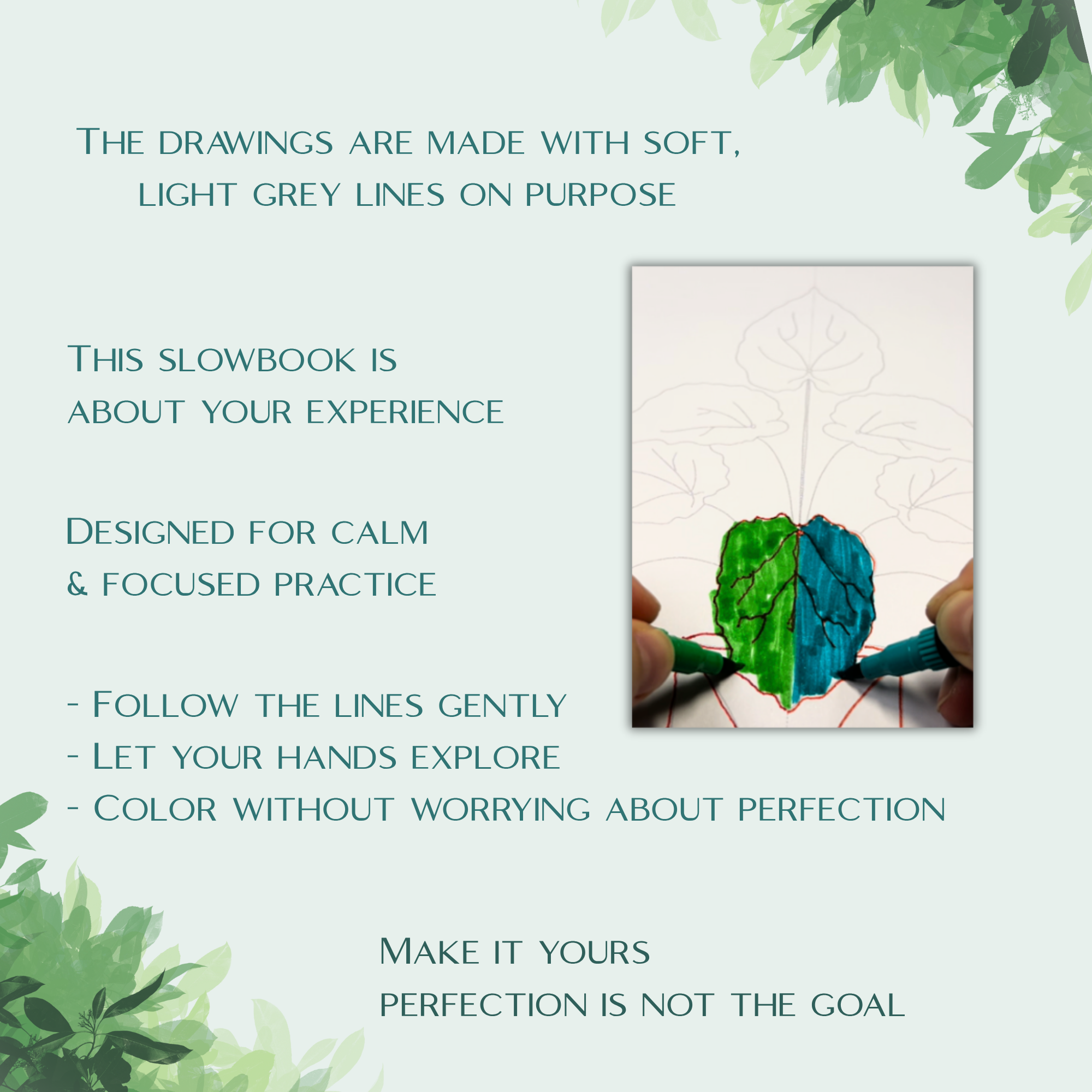 Potted Plants Slowbook β Draw & Colour with Both Hands (Digital Download) - Image 4