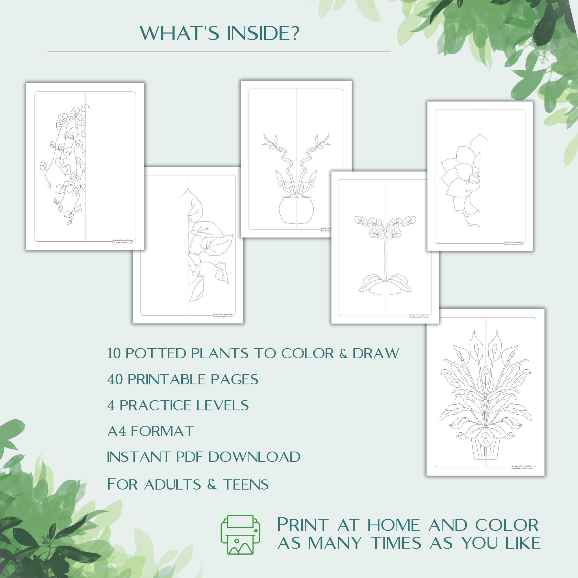 Potted Plants Slowbook β Draw & Colour with Both Hands (Digital Download) - Image 7
